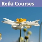 Reiki Courses &amp; Offerings